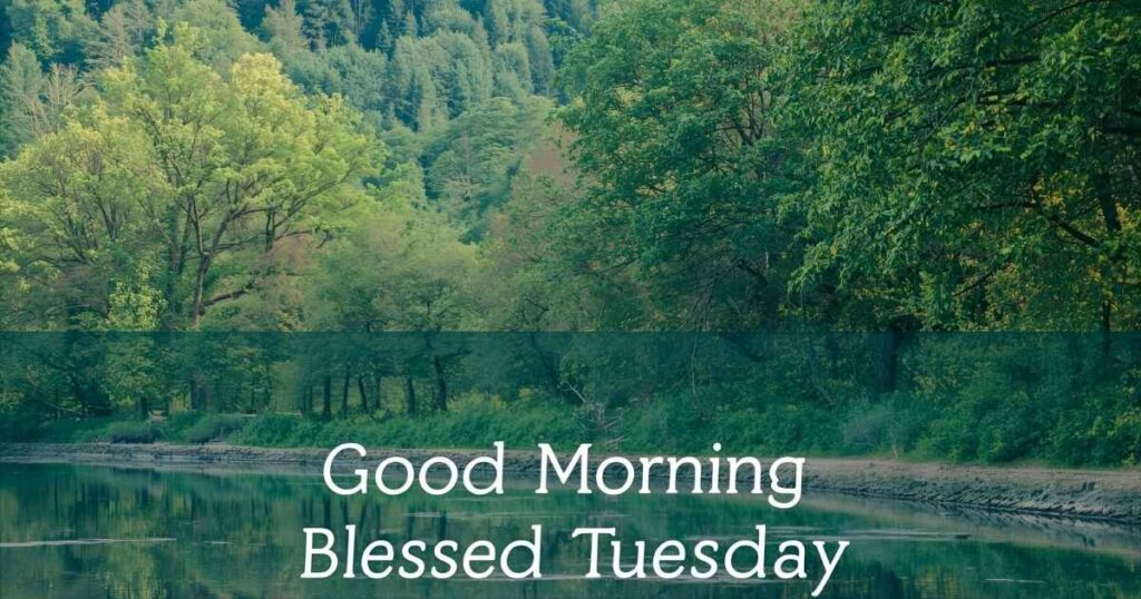 Good Morning Blessed Tuesday