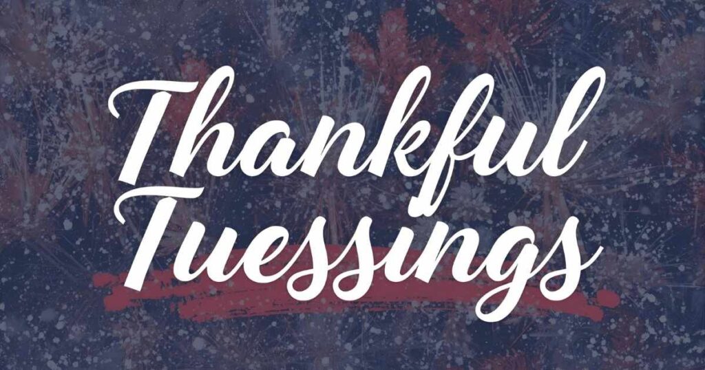 Thursday Blessings