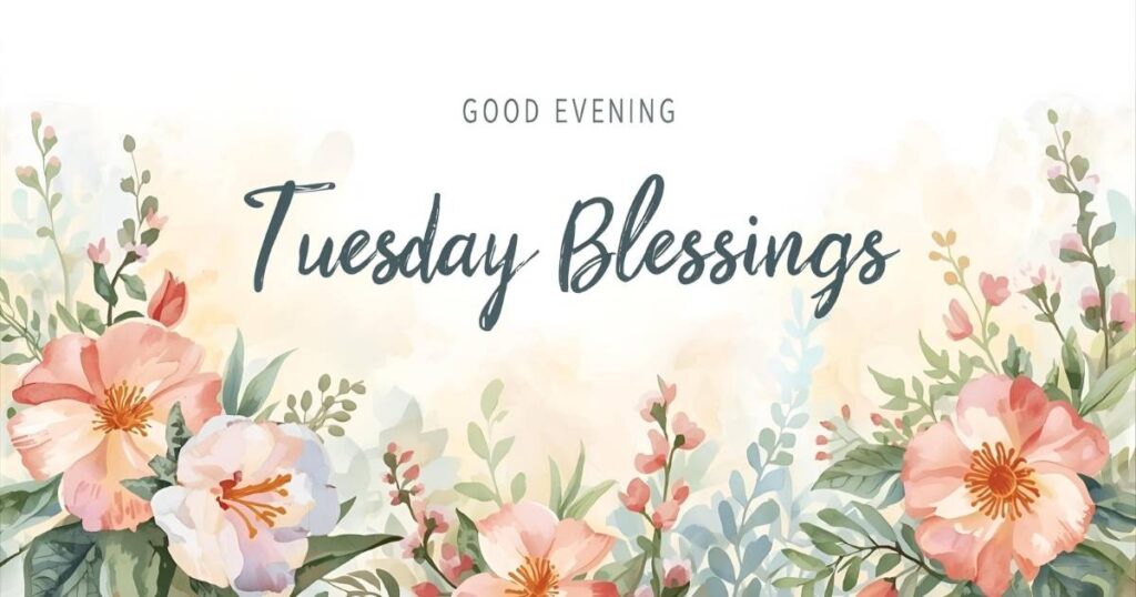 150+ Good Evening Tuesday BLessings for a Wonderful Day – Cute Images