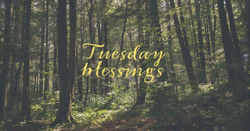 Tuesday Blessings Images Featuring