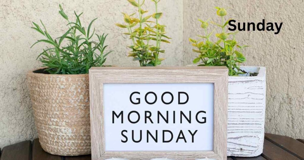 100 Happy Sunday Message For Your Love With Prayers