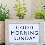 100 Happy Sunday Message For Your Love With Prayers