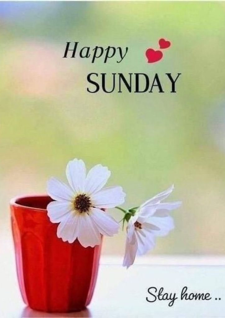 Rise And Shine! Happy Sunday Message